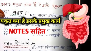 यकृत किसे कहते हैं के क्या कार्य है  yakrit ke karya  यकृत के कार्यों का उल्लेख कीजिए  class 10th [upl. by Nwahsir]