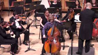 William McGregor Dittersdorf Double Bass Concerto in E Major [upl. by Esilrac]