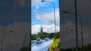 🇸🇪瑞典之秋的味道🍁🍁växjöweekendtrip北欧风情 [upl. by Amice]