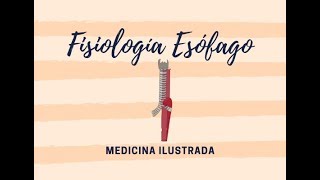 Fisiología Esófago  DISFAGIA [upl. by Llertrac943]