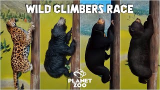 Formosan Black Bear Sun Bear Sloth Bear Amur Leopard  Planet Zoo Animals Climbing Race [upl. by Jerold]