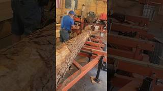 20 ft Forest Pine 2x6s amp 2x8s sawmill woodworking woodmizer wood diy [upl. by Allistir]