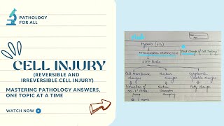 CELL INJURY1Reversible and Irreversible Cell Injury [upl. by Nelyahs]