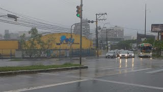 Chuva volta a Porto Alegre forte em alguns momentos  22112023 [upl. by Wager512]