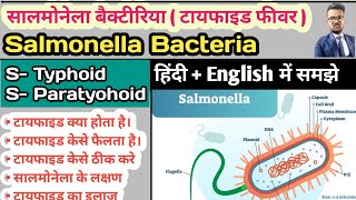 Salmonella Bacteria  Typhoid  Enteric Fever Typhoid Fever Paratyphoid Fever Widal Test in hindi [upl. by Atinaj]