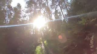 Mountain Biking at Canada Woods Falkirk [upl. by Rehpotirhc442]