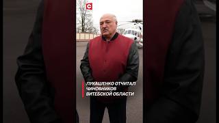 Лукашенко нет порядка нет дисциплины нет ответственности Жуть лукашенко политика новости [upl. by Fanchet]