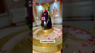 Main Bhola Parvat Ka youtubeshorts trending harharmahadev bholenath [upl. by Olzsal]