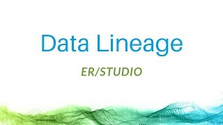 Data Lineage with ERStudio [upl. by Etienne]