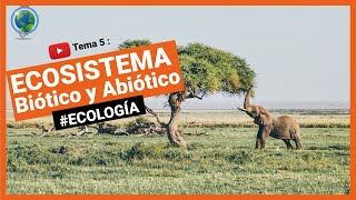 🍃 ¿Qué es un ecosistema Y concepto de Biocenosis y biotopo  ecologia 🌱 [upl. by Anen]