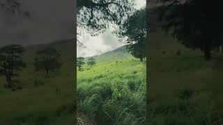 Haritha kanda mountain camp site💚☘️⛰️foryou nature travelvlog trending travel tiktok [upl. by Halyak]