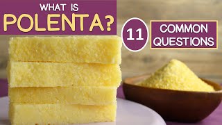 POLENTA 11 Commonly Asked Questions [upl. by Hyde]