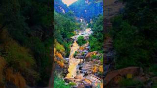 Ella Wellawaya Waterfall  Ella Sri Lanka ❤️🇱🇰🥰 shorts [upl. by Ettedo]