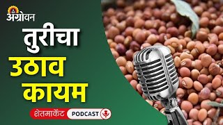 Cotton Soybean Market कापूस बाजारभाव सोयाबीन भाव तूर बाजार हिरवी मिरची दर  Agrowon [upl. by Ecitnerp589]