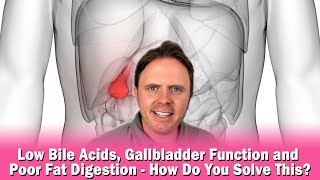 Low Bile Acids Gallbladder Function and Poor Fat Digestion  How Do You Solve This [upl. by Eesdnyl]