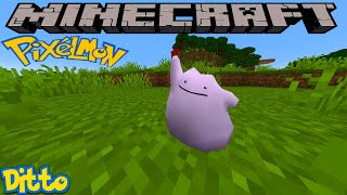 HOW TO FIND DITTO IN PIXELMON REFORGED  MINECRAFT GUIDE [upl. by Dayiz]