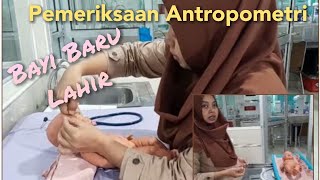 Pemeriksaan Antropometri Bayi Baru Lahir [upl. by Anisor350]