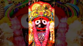 Jagannatha Tume youtubeshorts odiajagannthabhajana 🙏🌻🌅 [upl. by Colston334]