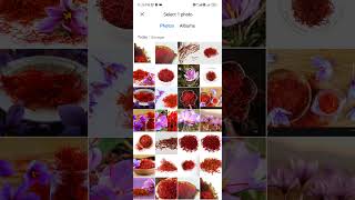 Saffron Rapid Test App for detecting fake saffron [upl. by Adnahsor]