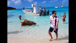 Exuma  Bahamas  February 2018  Swimming pigs sharks and more [upl. by Gallard954]