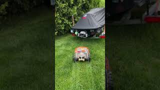 Worx Landroid Robotic Mower He Does a Good Job [upl. by Jar]