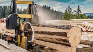 Extreme Sawmill Live Power Precision and Adrenaline [upl. by Atikcir855]