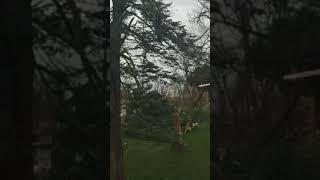 Storm damage at Greenlawn Cemetery [upl. by Jacobsen900]