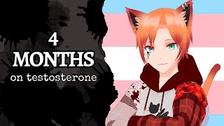 4 months on testosterone What has changed [upl. by Yrod]