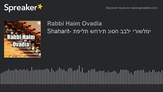 R Haim Ovadia  Shaharit תפילת שחרית נוסח בבלי ירושלמי [upl. by Sinne]