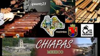 Marimba Orquesta de Jiquipilas  Popurri de Mambos [upl. by Harifaz]