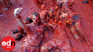 145 TONNES of Tomatoes Thrown During La Tomatina Festival 2019 [upl. by Enelra429]