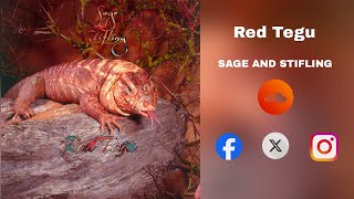 Sage And Stifling  Red Tegu Single 2024 [upl. by Elohcin]