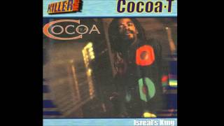 Cocoa Tea  Hurry Up and Come  90s Reggae  Official Audio [upl. by Whitehurst146]