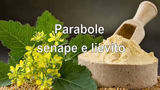 Parabole senape e lievito [upl. by Vikki]