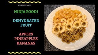 Ninja Foodi Dehydrated Pineapples Bananas and Apples [upl. by Issiah]