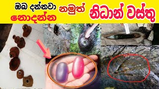 දකින්න දුර්ලබ නිදන් වස්තු ashiya vlog nidan wasthu nidan salakunu visthara [upl. by Reinertson295]