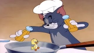 Tom and Jerry 47 Episode  Little Quacker 1 1950 [upl. by Placidia239]