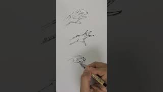 Drawing hands [upl. by Alemrac]