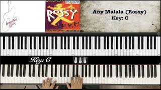 Any Malala Rossy  Piano Lesson 13 [upl. by Charline]