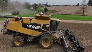 Soybean harvest  Loretto KY  Nov 18 2024 [upl. by Llimaj]