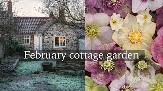 February Cottage Garden  Hellebores Snowdrops and Early Flowers Tour [upl. by Atwahs]