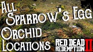 Red Dead Redemption 2  All 25 Sparrows Egg Orchid Locations Duchesses and Other Animals Exotics [upl. by Dail411]