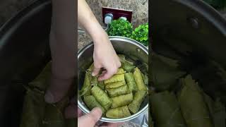 Долма Армянское блюдо  А как это вкусно  долма армянскаякухня ужин рецептобеда [upl. by Notgnirra]