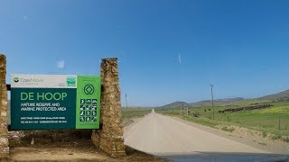 Driving from Bredasdorp to De Hoop Nature Reserve  Driving Cinematic Dash cam South Africa [upl. by Bourque]