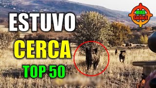 TOP 50 de las Cazas Más Impactantes y Responsables en la Naturaleza [upl. by Rodavlas57]