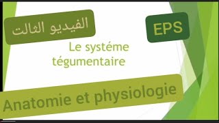 Anatomie et physiologie  le systéme tégumentaire EPS تحضير لمباراة التعليم تخصص تربية بدنية [upl. by Ahsemot]