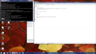 Linux Tutorial StartStop Skript schreiben Shell [upl. by Bendicta]