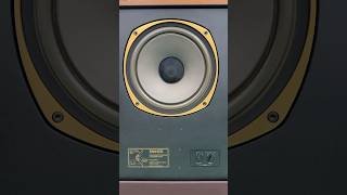 Tannoy arden  Accuphay E305v 🥰🥰🥰 [upl. by Liza774]