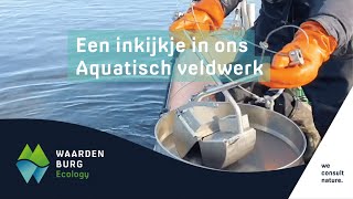 Verschillende aquatische werzaamheden van Waardenburg Ecology op één dag [upl. by Cynthea]