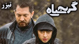 فیلم سینمایی گربه سیاه  تیزر 1  Film Gorbe Siah  Teaser 1 [upl. by Kalman963]